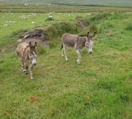 Skellig View Sunset Cliffs View Apartamento *