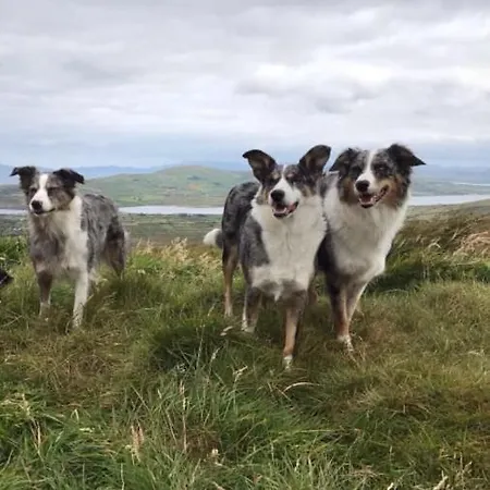 Skellig View Sunset Cliffs View Appartamento Portmagee