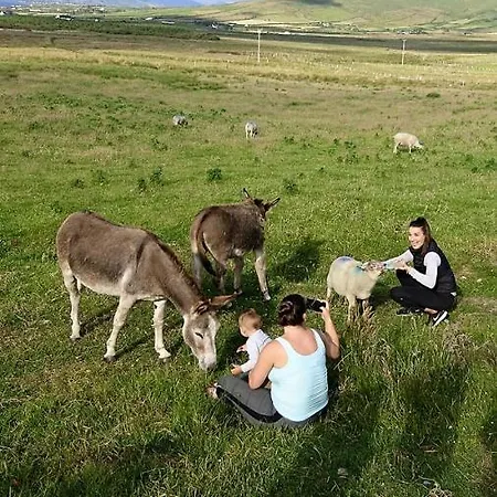 Skellig View Sunset Cliffs View *