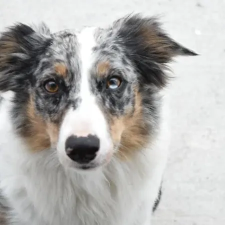 Skellig View Sunset Cliffs View Portmagee