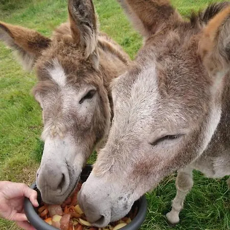 Appartement Skellig View Sunset Cliffs View