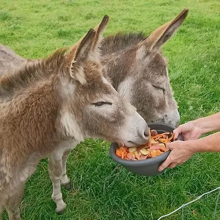 Appartement Skellig View Sunset Cliffs View