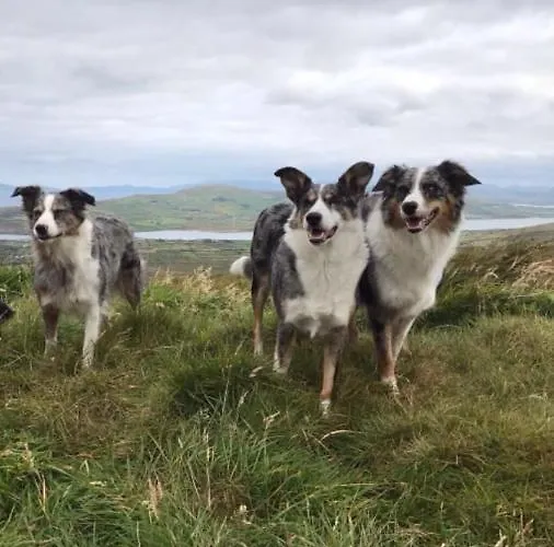 Skellig View Sunset Cliffs View Apartamento Portmagee