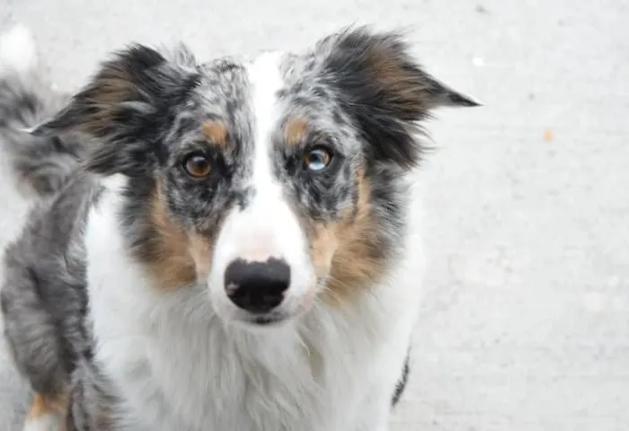Skellig View Sunset Cliffs View Portmagee