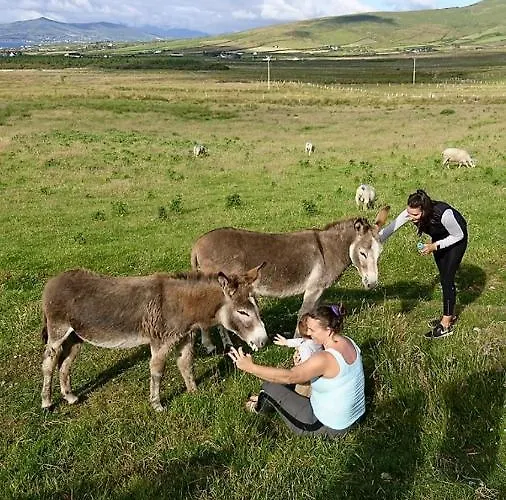 Apartamento Skellig View Sunset Cliffs View *